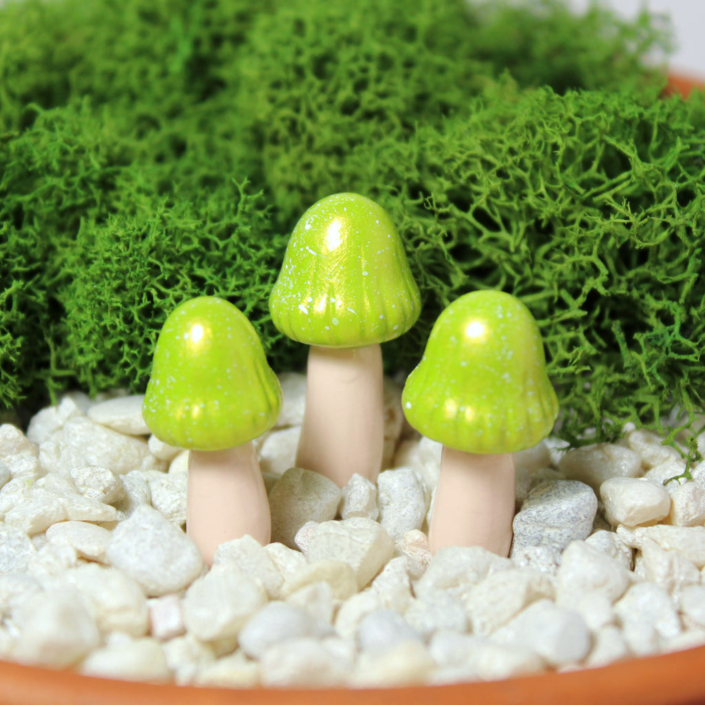 Three sparkly lime green fairy mushrooms sit in a moss garden with white gravel